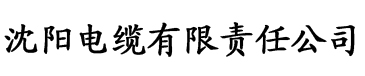 欧美18school电缆厂logo